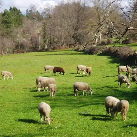 Casa Lagar Da Moira Vila Franca da Serra