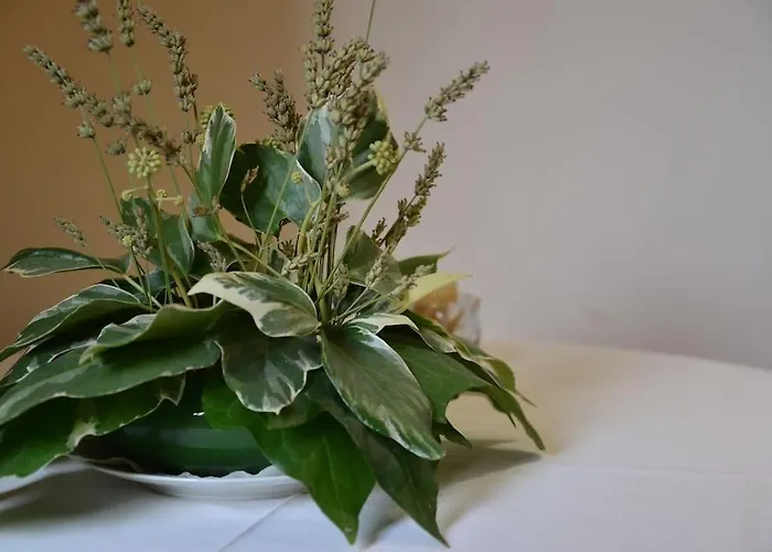 Casa Lagar Da Moira Σπίτι διακοπών