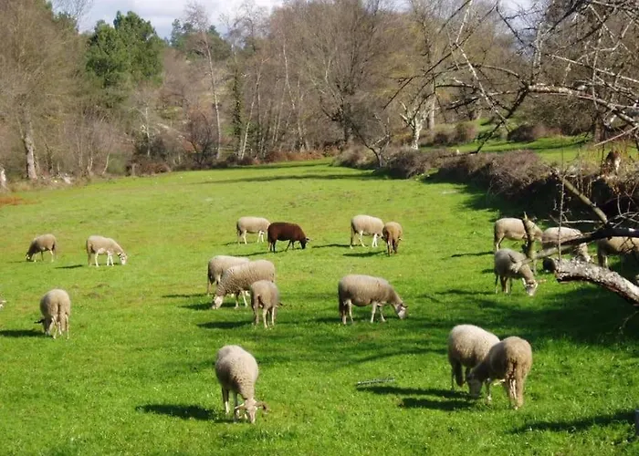 Casa Lagar Da Moira Vila Franca da Serra